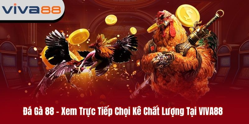 đá gà 88