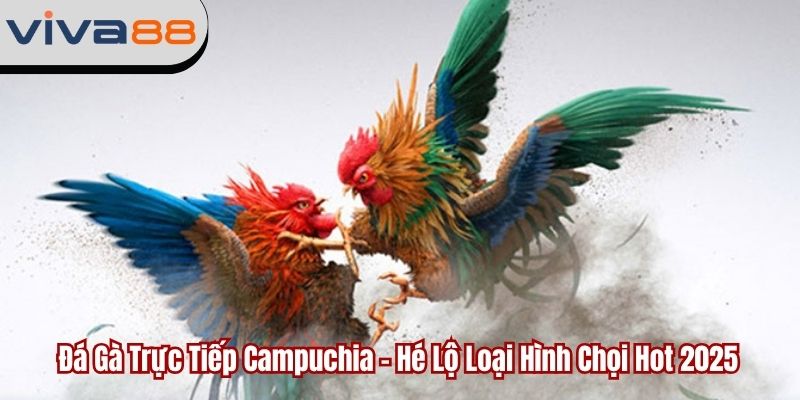 đá gà trực tiếp Campuchia