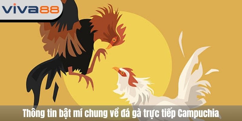 đá gà trực tiếp Campuchia