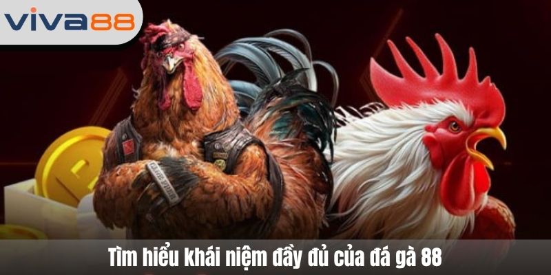 đá gà 88
